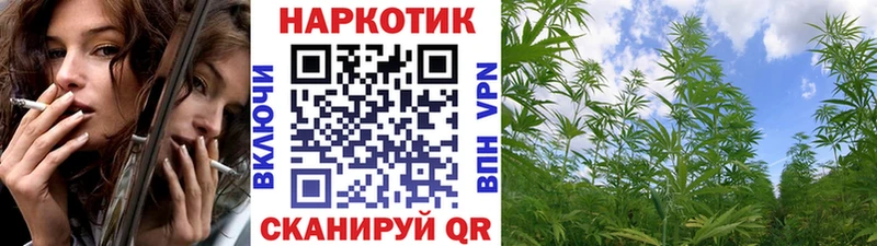 Купить Сенгилей Кокаин  Канабис  Меф мяу мяу  Гашиш 