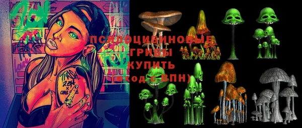 дурь Балахна