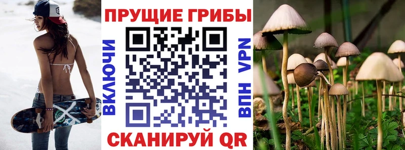 Галлюциногенные грибы мицелий  где купить   Сенгилей 